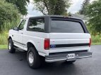 Thumbnail Photo 34 for 1995 Ford Bronco XLT